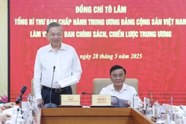 Party General Secretary To Lam speaks at his working session with the Party Central Committee's Commission for Policies and Strategies in Hanoi on May 28. (Photo: VNA)