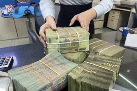 A bank employee counts money for a customer at a private branch in HCM City. (Photo: VNA)