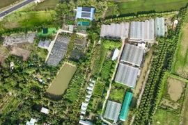 Vietnam’s farm tourism blooms, blending rustic charm with flowery dreams