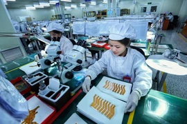 An electronic circuit board inspection line at a Korean enterprise in Yen Phong Industrial Zone, Bac Ninh province. (Photo: VNA) 