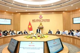 Minister of Industry and Trade Nguyen Hong Dien speaks at the January 2 conference regarding the development of science and technology human resources in service of Vietnam's nuclear power programme. (Photo: VNA)