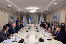 At the meeting between Vietnamese Deputy Minister of Foreign Affairs Le Thi Thu Hang and First Deputy Chairman of the Uzbek Senate S. Safoev. (Photo: Vietnam Ministry of Foreign Affairs)