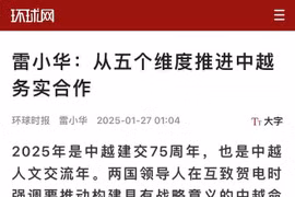 The article on Global Times by Lei Xiaohua, Deputy Director of the Institute of Southeast Asian Studies under the Guangxi Academy of Social Sciences. (Photo: VNA)