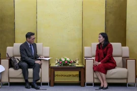 Vice Chairwoman of the Da Nang People's Committee Nguyen Thi Anh Thi (right) receives Japanese Consul General to the city Mori Takero. (Photo: VNA) 