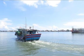 Fishing boats of local fishermen heading out to sea for seafood harvesting. (Photo: VNA)