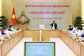 Deputy Prime Minister Nguyen Chi Dung speaks at the first meeting of the steering committee for the building of a project on the private economic sector's development in Hanoi on March 15. (Photo: VNA)