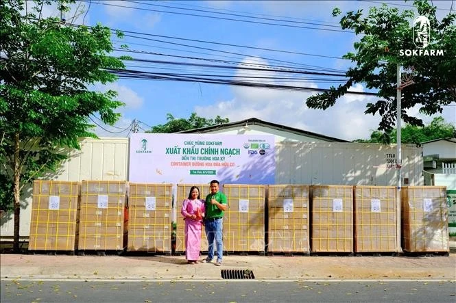 Director Thach Thi Chal Thi and CEO Pham Dinh Ngai (R) of Sokfarm stand next to the company first batch of 5-star OCOP-rated organic coconut sugar exported to the US. (Photo: VNA)