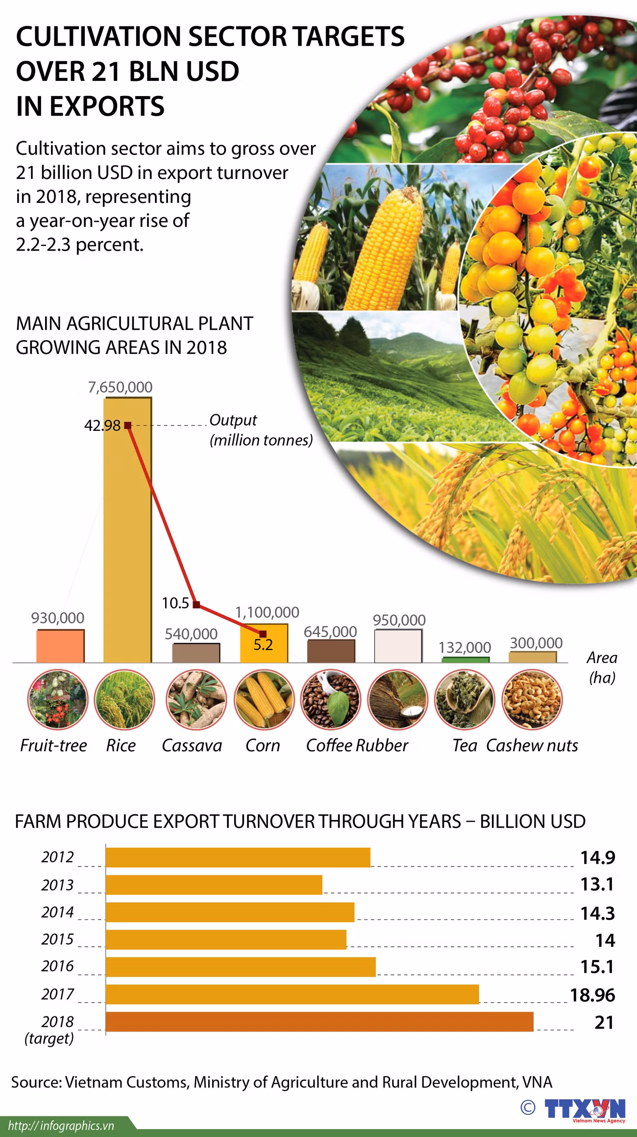 Cultivation sector targets over 21 bln USD in exports ảnh 1
