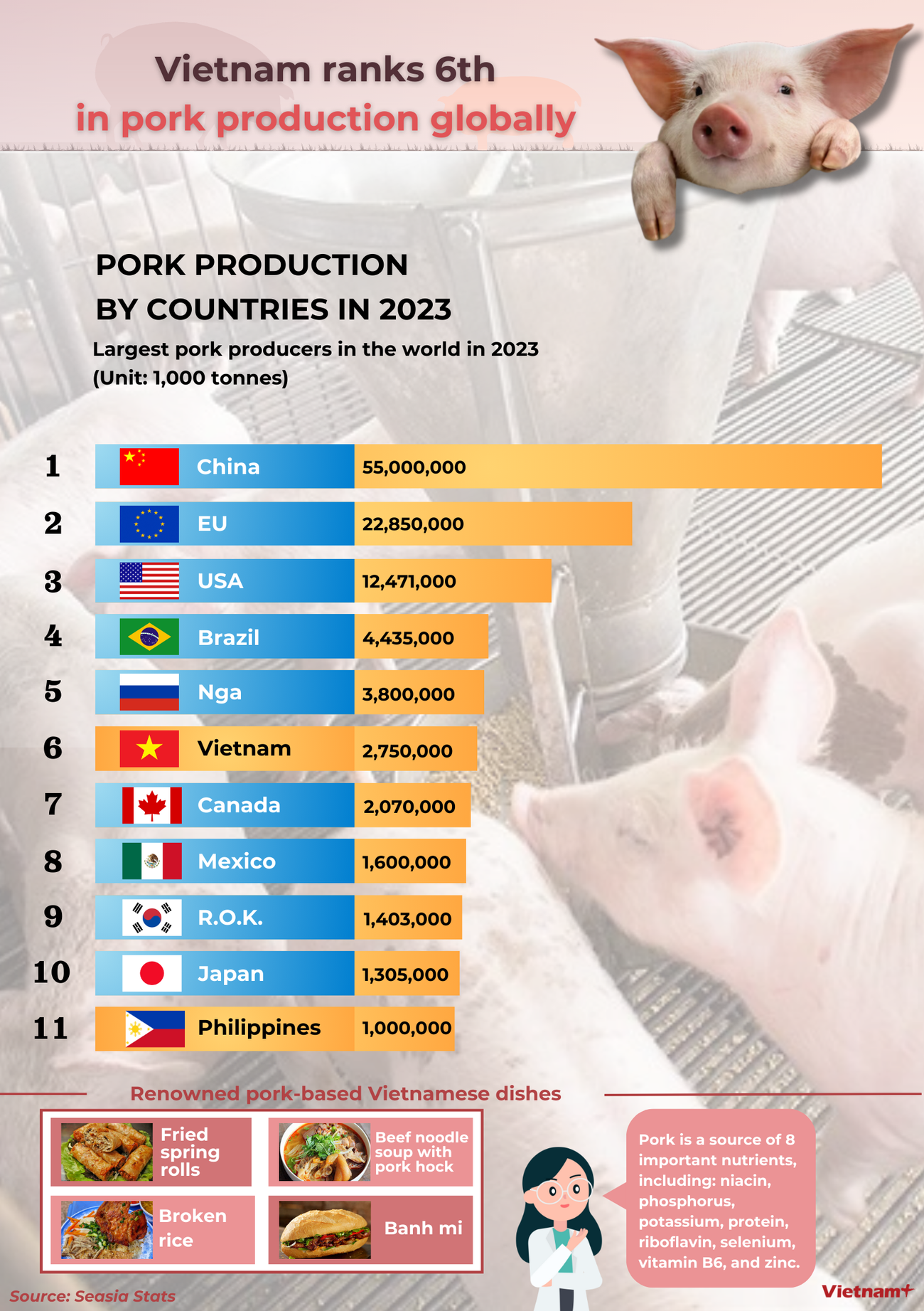 Vietnam ranks 6th in pork production globally ảnh 1