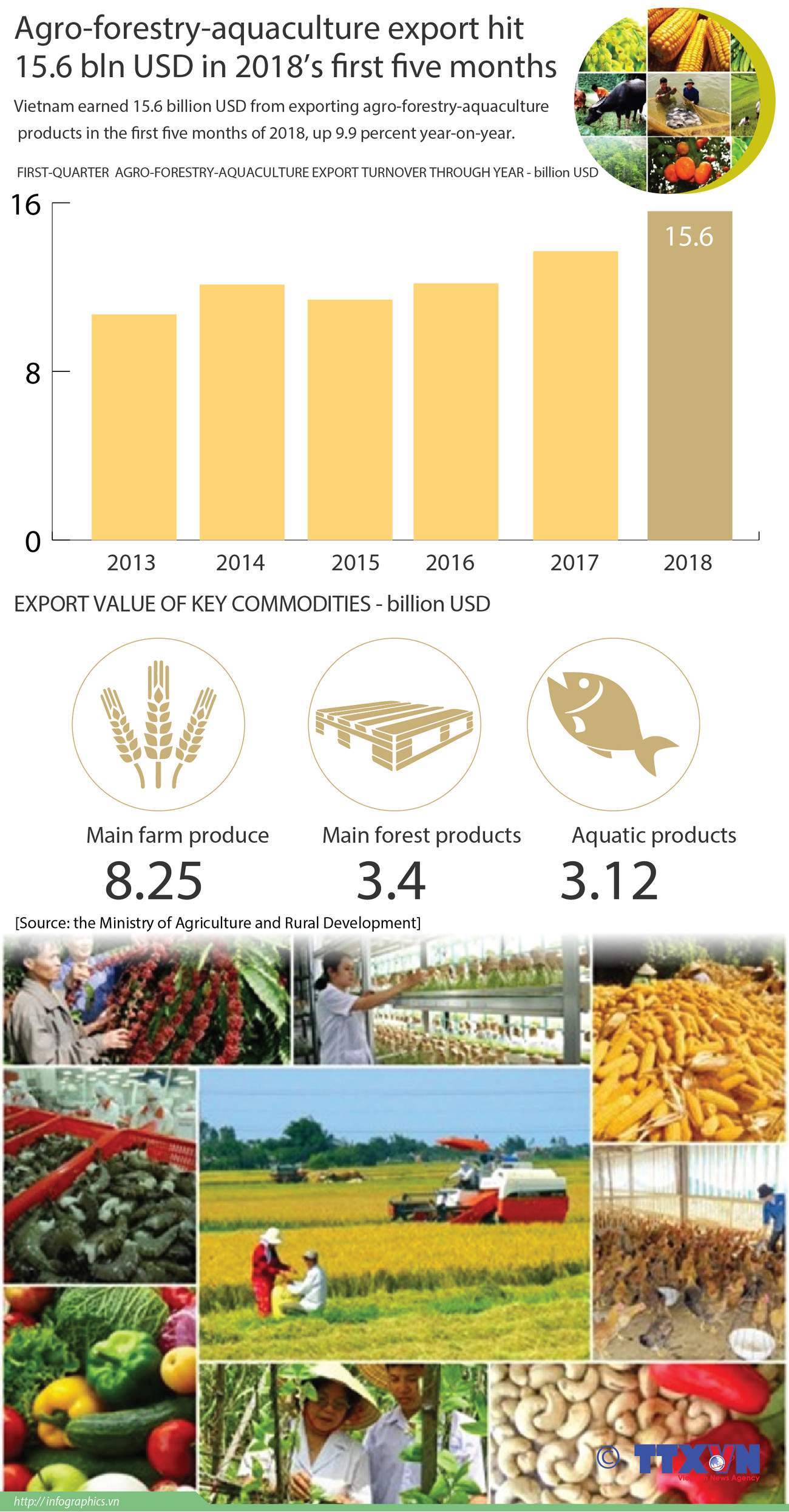 Agro-forestry-aquaculture export hit 15.6 bln in five months ảnh 1