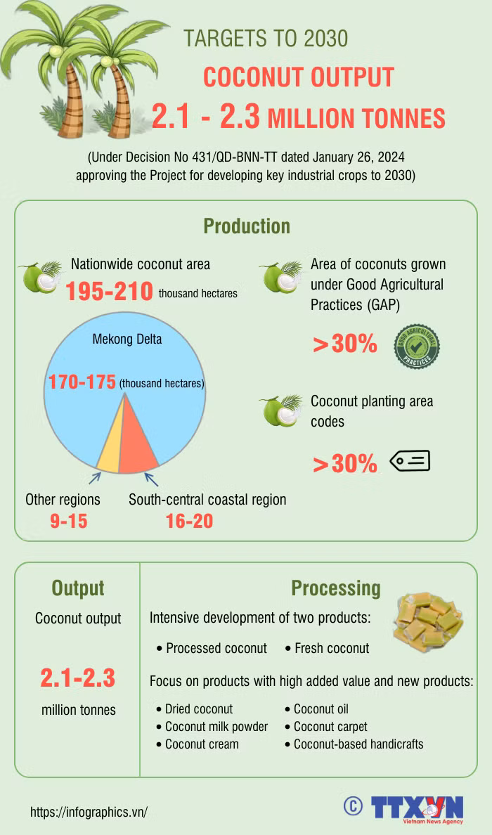Coconut output to top 2 million tonnes by 2030 ảnh 1