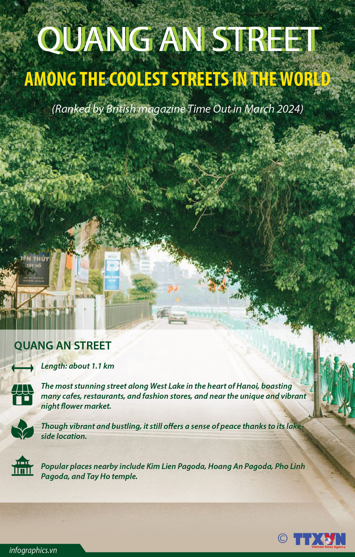 Quang An listed among the coolest streets in the world ảnh 1 Quang An listed among the coolest streets in the world ảnh 1