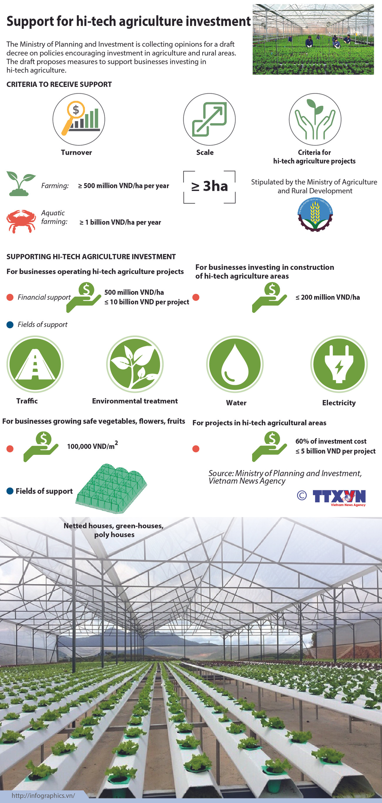 Support for hi-tech agriculture investment ảnh 1