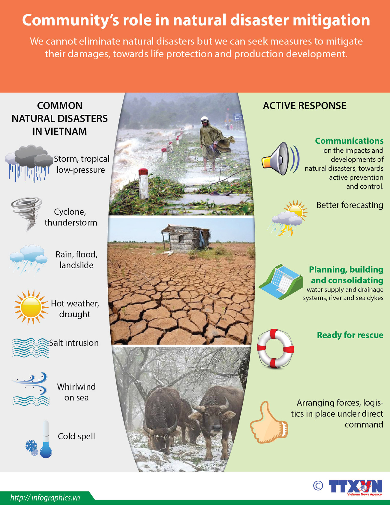 Community's role in natural disaster mitigation ảnh 1