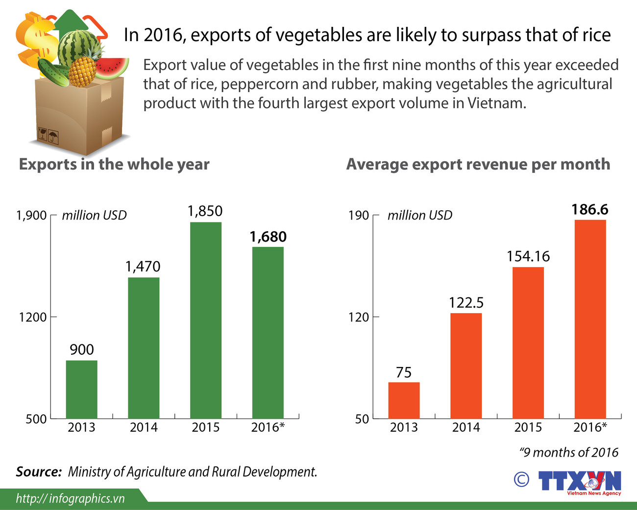 Vegetable exports may surpass that of rice ảnh 1