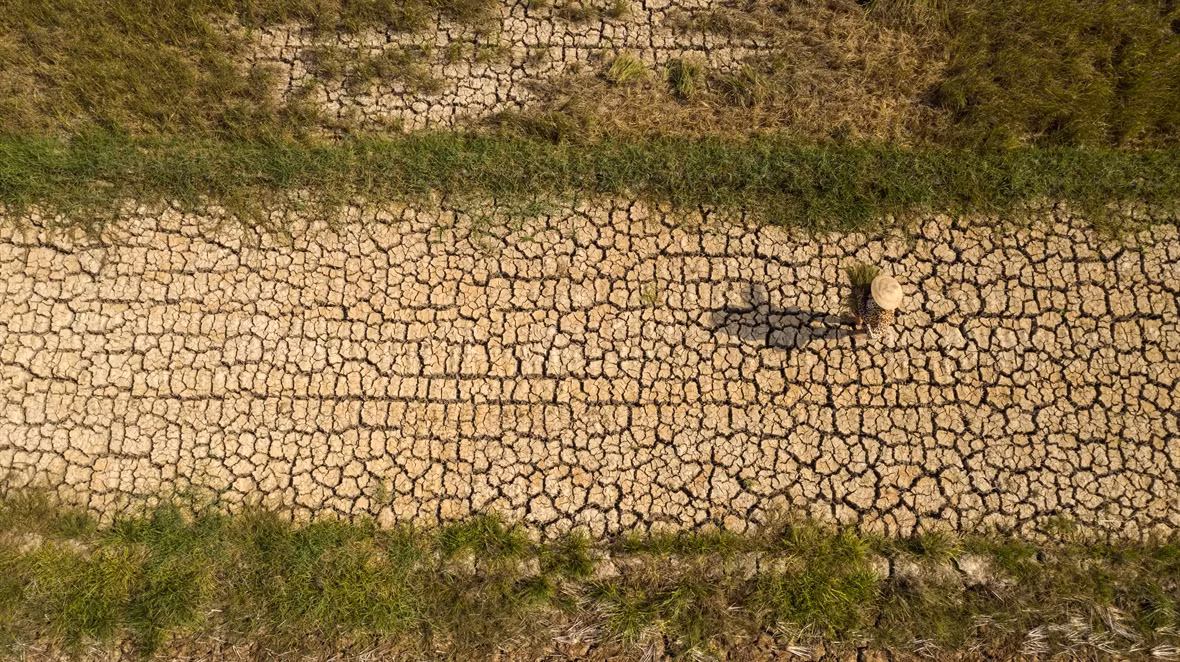 Mekong Delta locals respond to drought and saltwater intrusion ảnh 1