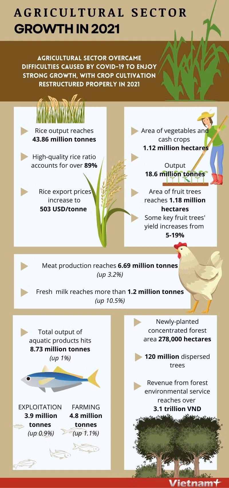 Agriculture sector's growth in 2021 ảnh 1