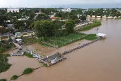 Dong Thap protecting wild fish in Tien river