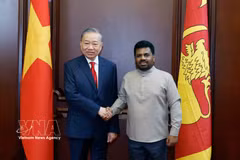Official welcome ceremony held for top Vietnamese leader during State visit to Sri Lanka