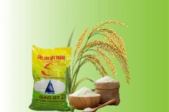Vietnam’s ST25 rice crowned world’s best again