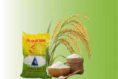 Vietnam’s ST25 rice crowned world’s best again