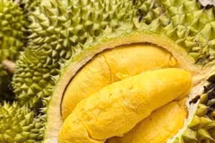 Vietnam’s fruit, vegetable exports hit record high in 2025