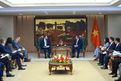 PM Pham Minh Chinh hosts UK Ambassador