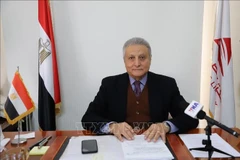 Egyptian diplomat Vietnam builds strategic autonomy after 40 years of reform