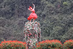 Ninh Binh captivates visitors with heritage flower seasons