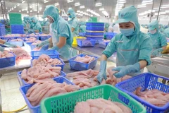 Vietnamese fisheries sector navigating headwinds in US market
