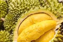 Mapping cadmium risks: A shield for sustainable durian exports