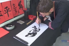 Vietnamese culture shines in Brussels