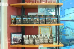 Dien Bien holds potential for specialty coffee