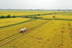 Vietnam’s agricultural sector targets 15% emission cut by 2035