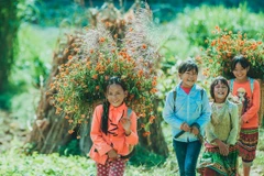 Toward 14th National Party Congress: Vietnam’s key achievements in human rights