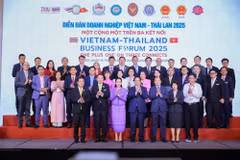 Vietnamese, Thai PMs co-chair business forum in Hanoi