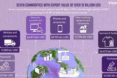 Seven commodities with export value of over 10 billion USD