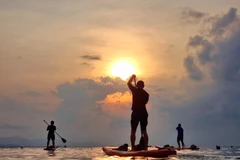 Diverse summer travel experiences await visitors to Ninh Thuan