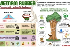 Vietnam’s rubber industry creating sustainable value from environmentally friendly material