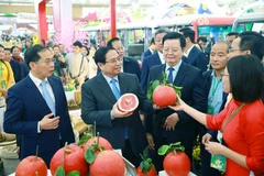 Prime Minister Pham Minh Chinh visits OCOP (One Commune One Product) booths at the first Spring Fair 2026. (Photo: VNA)