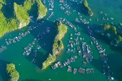 Vietnam affirms strong commitment to protecting the blue ocean