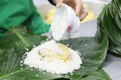 Honoring tradition of making Chung cakes for Lunar New Year