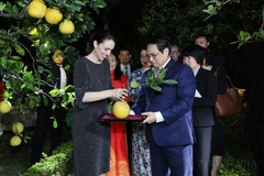 Vietnam, New Zealand promoting relations to new height
