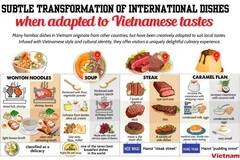 Subtle transformation of international dishes when adapted to Vietnamese tastes
