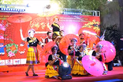 Vietnamese Tet food fair in Malaysia bridges culture, trade