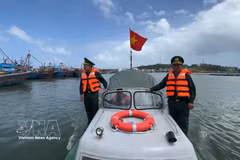 Quang Ngai tightens fishing vessel data checks to lift IUU “yellow card”