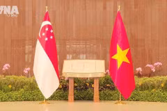 Vietnam-Singapore ties become model for regional cooperation