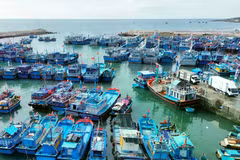 Vietnam’s anti-IUU fishing efforts: Insights from global experts