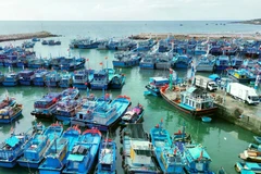 Vietnam’s anti-IUU fishing efforts: Insights from global experts