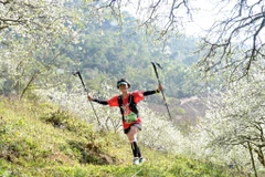 Vietnam Trail Marathon 2026 showcases breathtaking trails of Moc Chau